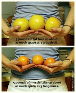 fat grapefruit